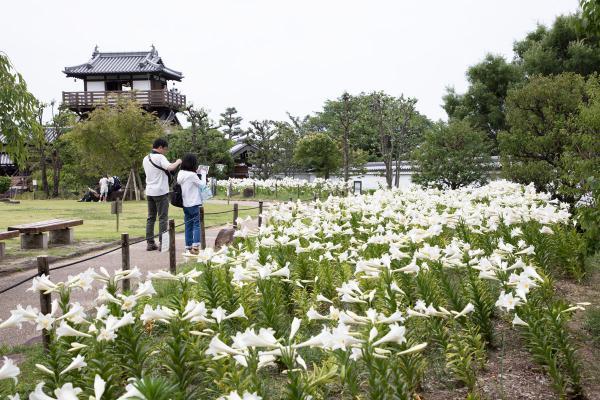 https://www.db.kansai-maas.jp/image/photos/7b63140b-a35b-4913-b209-009c19879b4c.jpg