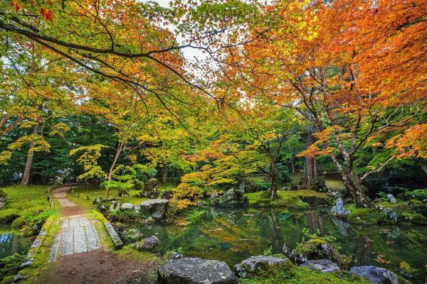 https://www.db.kansai-maas.jp/image/photos/7c4e5432-fff0-484e-bec7-3cd235cd15af.jpg