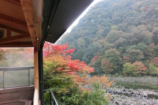 https://www.db.kansai-maas.jp/image/photos/7d2d9dc7-70da-45cb-a6ed-e019501d5ff2.jpg