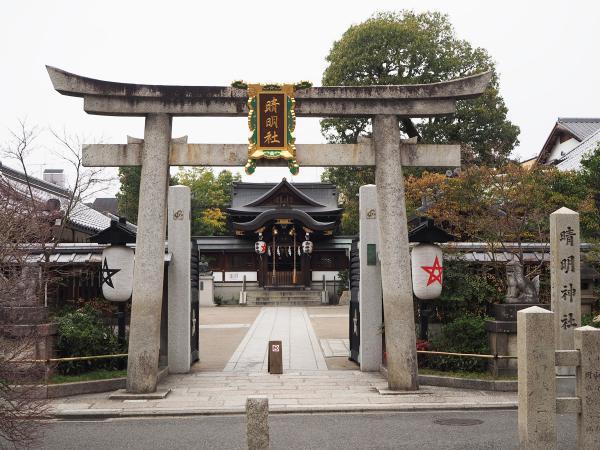 https://www.db.kansai-maas.jp/image/photos/7d6be2de-47a2-468a-9bc7-f84ed6281428.jpg