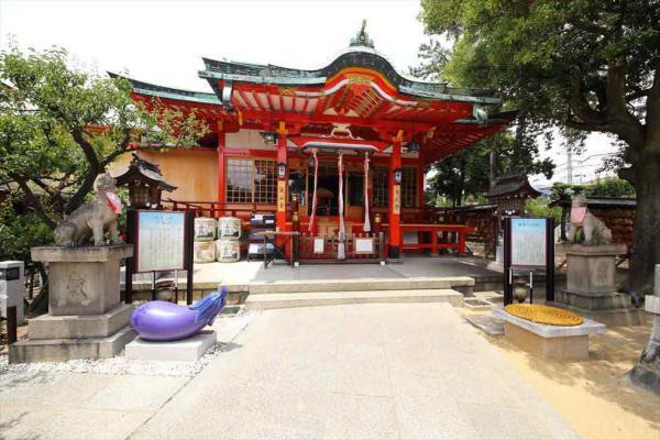 https://www.db.kansai-maas.jp/image/photos/7e1f147d-e5d9-4c4b-83cb-a8f15aeeff5b.jpg