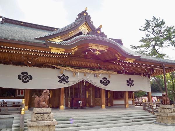 https://www.db.kansai-maas.jp/image/photos/7f12f713-25b6-471c-adeb-765232abc332.jpg