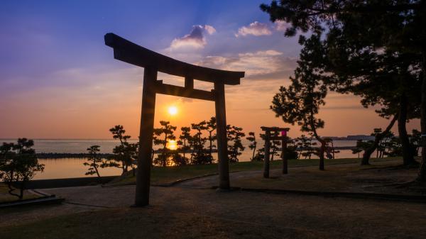 https://www.db.kansai-maas.jp/image/photos/7f79acc5-d2b2-45ac-8efc-9db96c8ee1f7.jpg