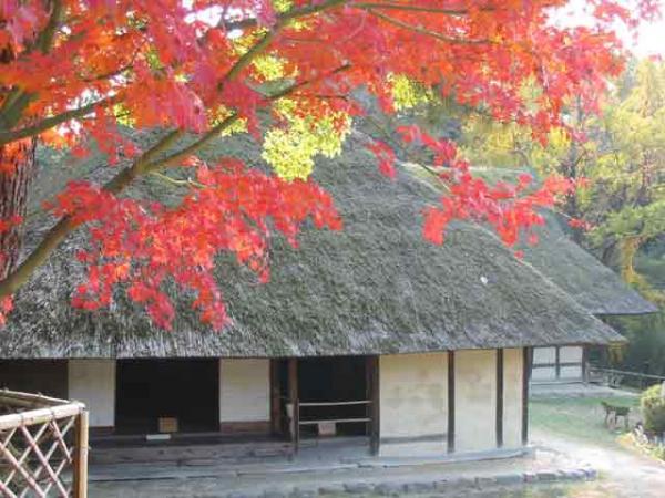 https://www.db.kansai-maas.jp/image/photos/7f89fa98-c079-4932-991b-b76c38e612df.jpg