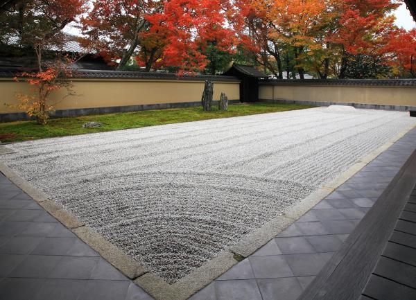 https://www.db.kansai-maas.jp/image/photos/800cac99-6a86-4426-8d0c-00bd20a65bcf.jpg
