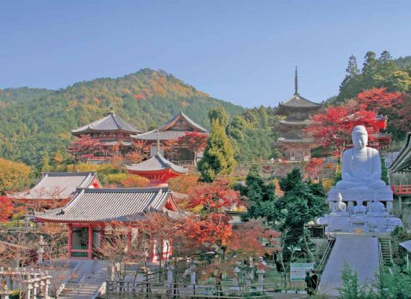 https://www.db.kansai-maas.jp/image/photos/81af006e-6066-43ca-a780-b7d2575b6116.jpg