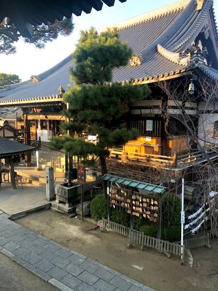 https://www.db.kansai-maas.jp/image/photos/82e50024-0f35-44fe-820a-aa13bddc7725.jpg