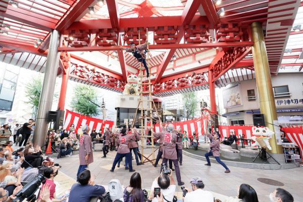 https://www.db.kansai-maas.jp/image/photos/83d38111-bf2d-4c90-9304-b16f6ba7bc7a.jpg