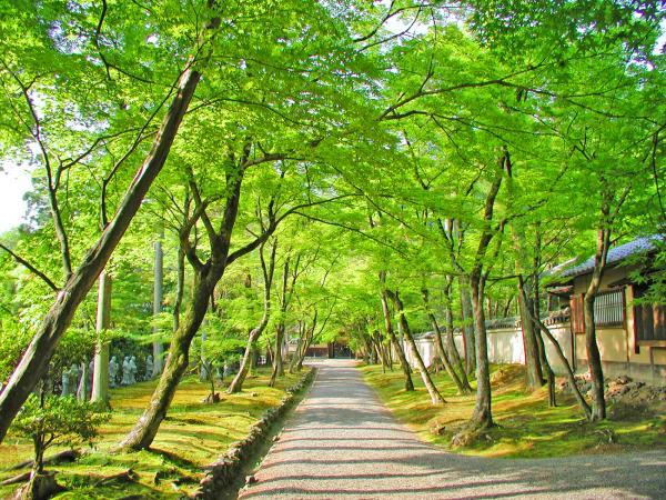 https://www.db.kansai-maas.jp/image/photos/866102f4-559f-449e-ae52-4cd021d82a5e.jpg