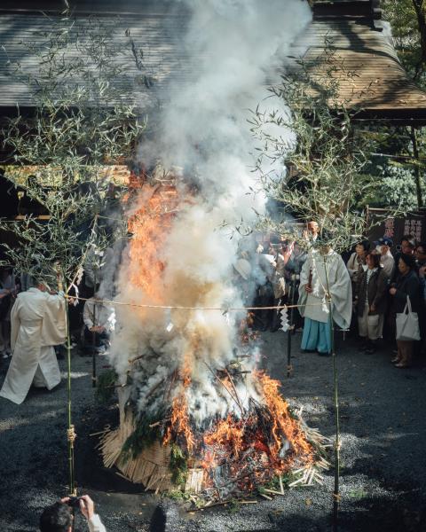 https://www.db.kansai-maas.jp/image/photos/867f354a-5957-42d6-9ceb-4c9821c6bd7c.jpg