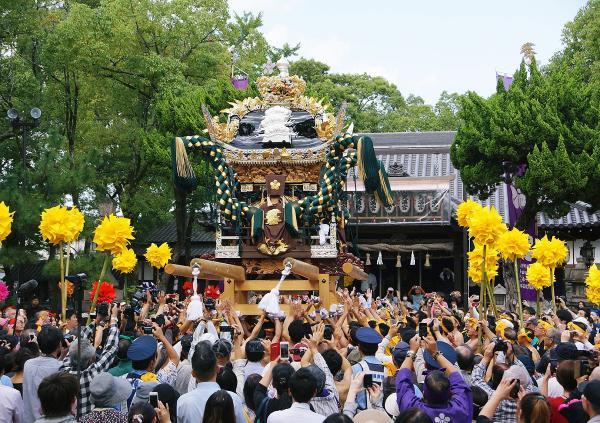 https://www.db.kansai-maas.jp/image/photos/86e2ce86-c0fc-4ec0-8848-77689cbbce99.jpg