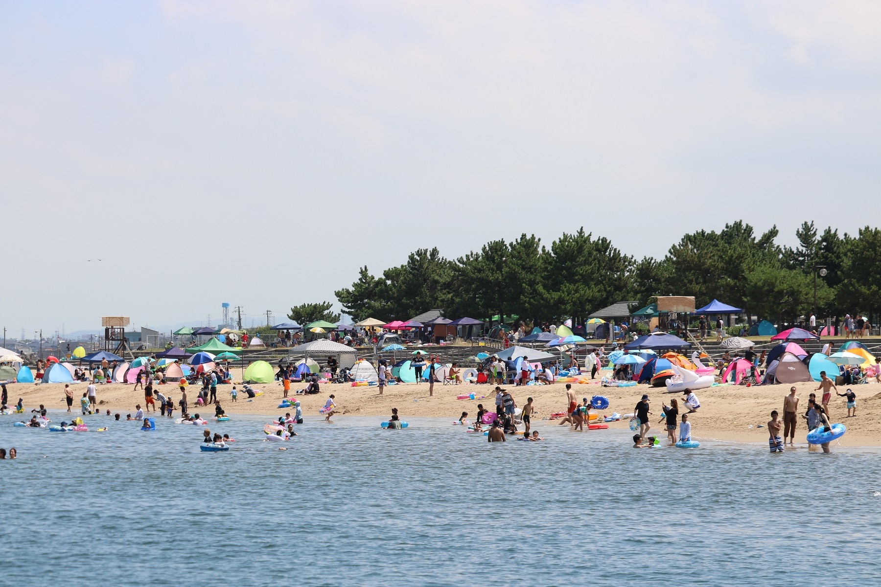https://www.db.kansai-maas.jp/image/photos/88659f9c-dfa6-4973-ac86-202b4eb56a2e.jpg