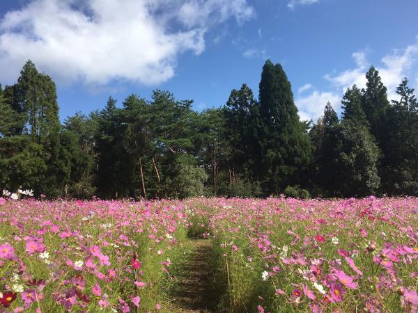 https://www.db.kansai-maas.jp/image/photos/89c32d3f-d3fe-4ee3-83ba-da3189905969.jpg