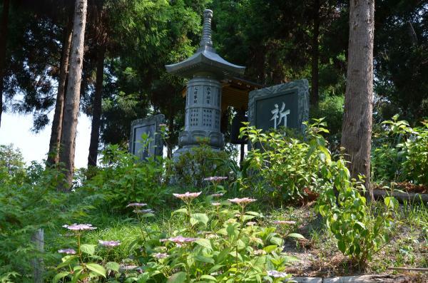 https://www.db.kansai-maas.jp/image/photos/8a1ea128-282c-4ae1-b781-21a5d2528c15.jpg
