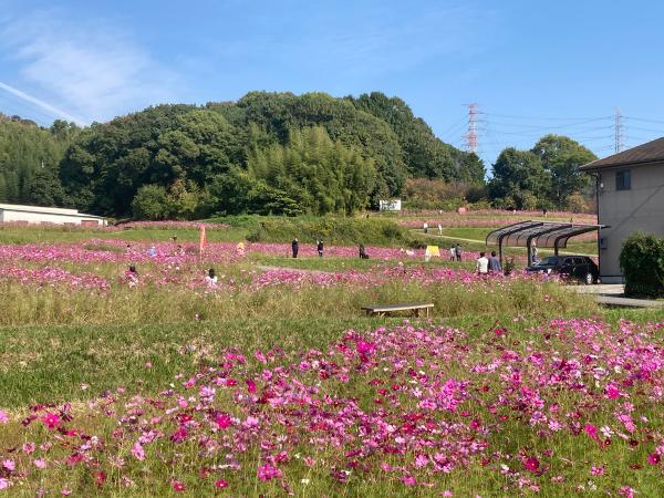 https://www.db.kansai-maas.jp/image/photos/8a604209-8adb-4d1f-abe8-34ea03c1a840.jpg