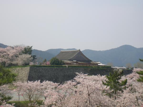 https://www.db.kansai-maas.jp/image/photos/8b01bff4-d71b-4daa-a936-d27b88b31c41.jpg