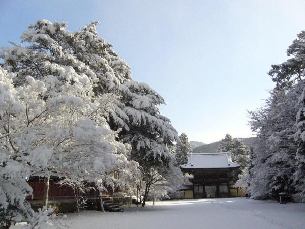 https://www.db.kansai-maas.jp/image/photos/8c470577-e5fd-42eb-8823-4dc3008e658c.jpg