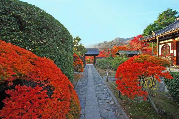 https://www.db.kansai-maas.jp/image/photos/8d74a6a7-17c7-4562-86f8-15e673416824.jpg
