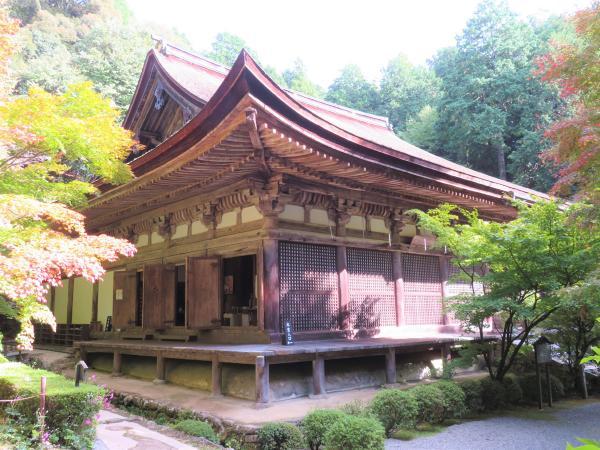https://www.db.kansai-maas.jp/image/photos/8e0d01e9-1c5c-47fa-b6e6-cb0e41aeab49.jpg