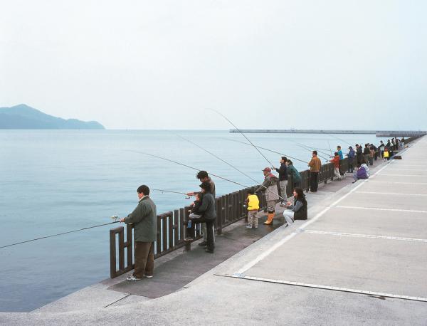 https://www.db.kansai-maas.jp/image/photos/8e5a66a3-8b96-47db-b36e-d806dacc8548.jpg