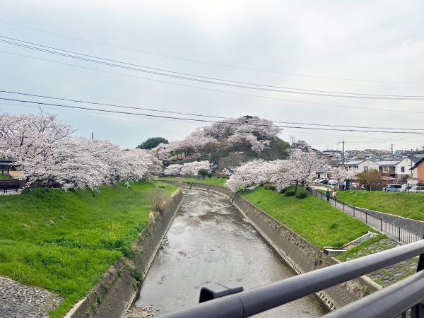 https://www.db.kansai-maas.jp/image/photos/8e66aa37-95de-455f-a35e-ec78326b37ee.jpg