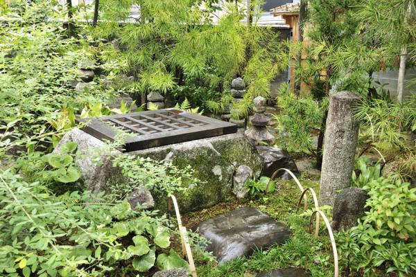 https://www.db.kansai-maas.jp/image/photos/8e6ca440-445c-4639-b71f-aa6059929638.jpg