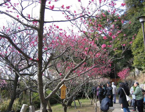 https://www.db.kansai-maas.jp/image/photos/8ea4ad70-8b35-4260-9625-7a15de0f1094.jpg