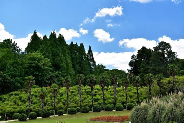 https://www.db.kansai-maas.jp/image/photos/90209e0b-27e9-4ac6-8160-d88509c937c0.jpg