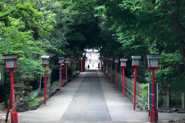 https://www.db.kansai-maas.jp/image/photos/906a1ee2-b8ff-436f-8220-9fdf9c01136a.jpg