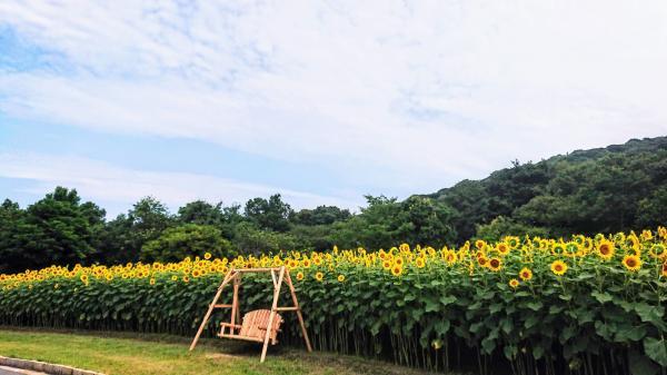 https://www.db.kansai-maas.jp/image/photos/91c17671-df7e-45e4-aedf-1a4a1743cc44.jpg