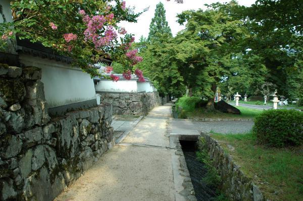 https://www.db.kansai-maas.jp/image/photos/91deef1e-7f75-4976-bcc4-906264116a4f.jpg