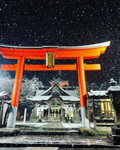 https://www.db.kansai-maas.jp/image/photos/9322de3c-a398-4996-b20d-a4550269fdf5.jpg