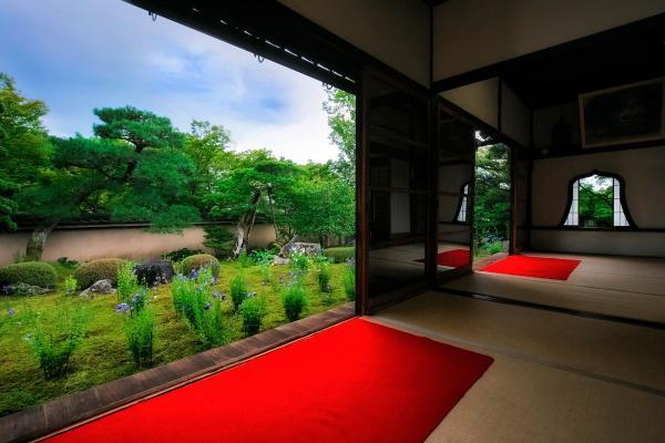 https://www.db.kansai-maas.jp/image/photos/937386d7-d2e3-4c06-b0e3-6196a544c532.jpg