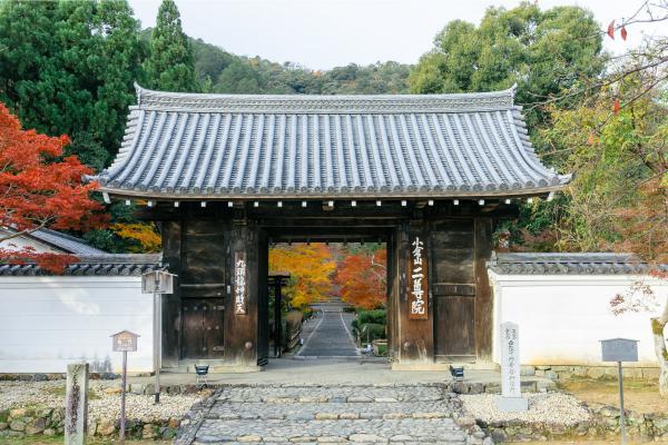 https://www.db.kansai-maas.jp/image/photos/937605e7-2b31-4d48-996e-c40b41a351df.jpg