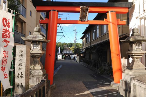 https://www.db.kansai-maas.jp/image/photos/9400d71c-c594-4de4-bd2b-e9b5812dda25.jpg