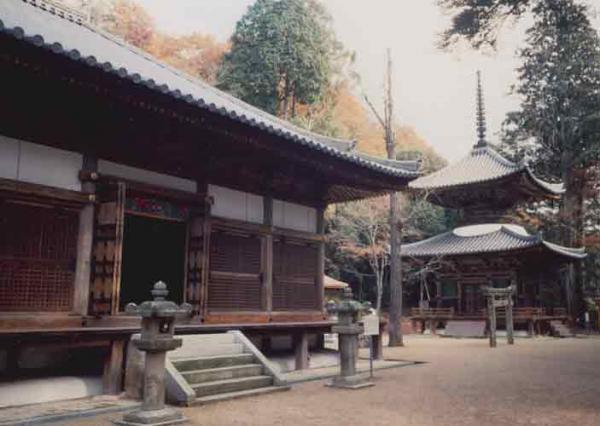https://www.db.kansai-maas.jp/image/photos/94eeb29c-5bdb-4781-b2a8-dc5a7e5324bb.jpg