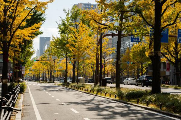 https://www.db.kansai-maas.jp/image/photos/9618a633-9ef4-4269-a19d-7a366bc074f2.jpg