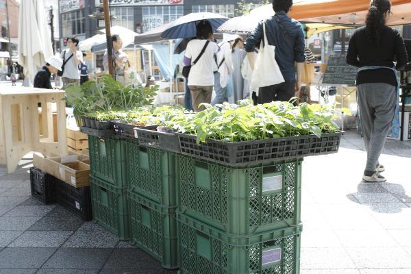 https://www.db.kansai-maas.jp/image/photos/96398a65-22be-4421-bbff-1043393ccc71.jpg