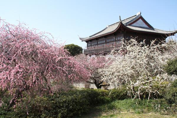 https://www.db.kansai-maas.jp/image/photos/964ff4e9-26da-4d09-985d-8ef3e38c3008.jpg