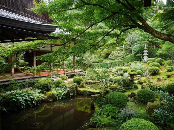 https://www.db.kansai-maas.jp/image/photos/96a37c49-0af8-4d74-8e02-c198b38b9324.jpg