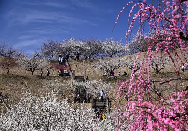 https://www.db.kansai-maas.jp/image/photos/972cdd71-da26-4e61-a597-a55ca8cacb7e.jpg