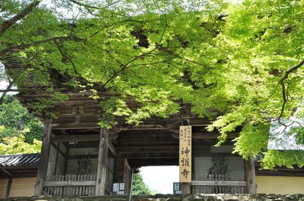 https://www.db.kansai-maas.jp/image/photos/97ac534b-292c-4422-a465-362504bd8b55.jpg