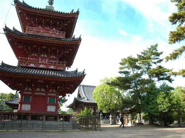 https://www.db.kansai-maas.jp/image/photos/9828f260-b4b7-4d1c-a7b1-e386eda62cdf.jpg