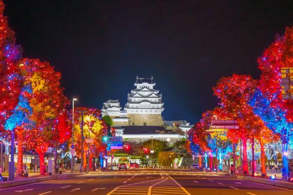 https://www.db.kansai-maas.jp/image/photos/98488f2c-8605-4442-9e61-4250b736e704.jpg