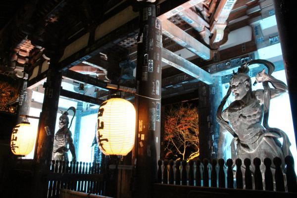 https://www.db.kansai-maas.jp/image/photos/98eb6fd0-808c-457b-a54b-13bbd3f19fbf.jpg