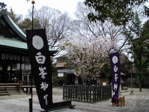 https://www.db.kansai-maas.jp/image/photos/9988e50a-ee2f-4298-b267-df1edcf5e9fc.jpg