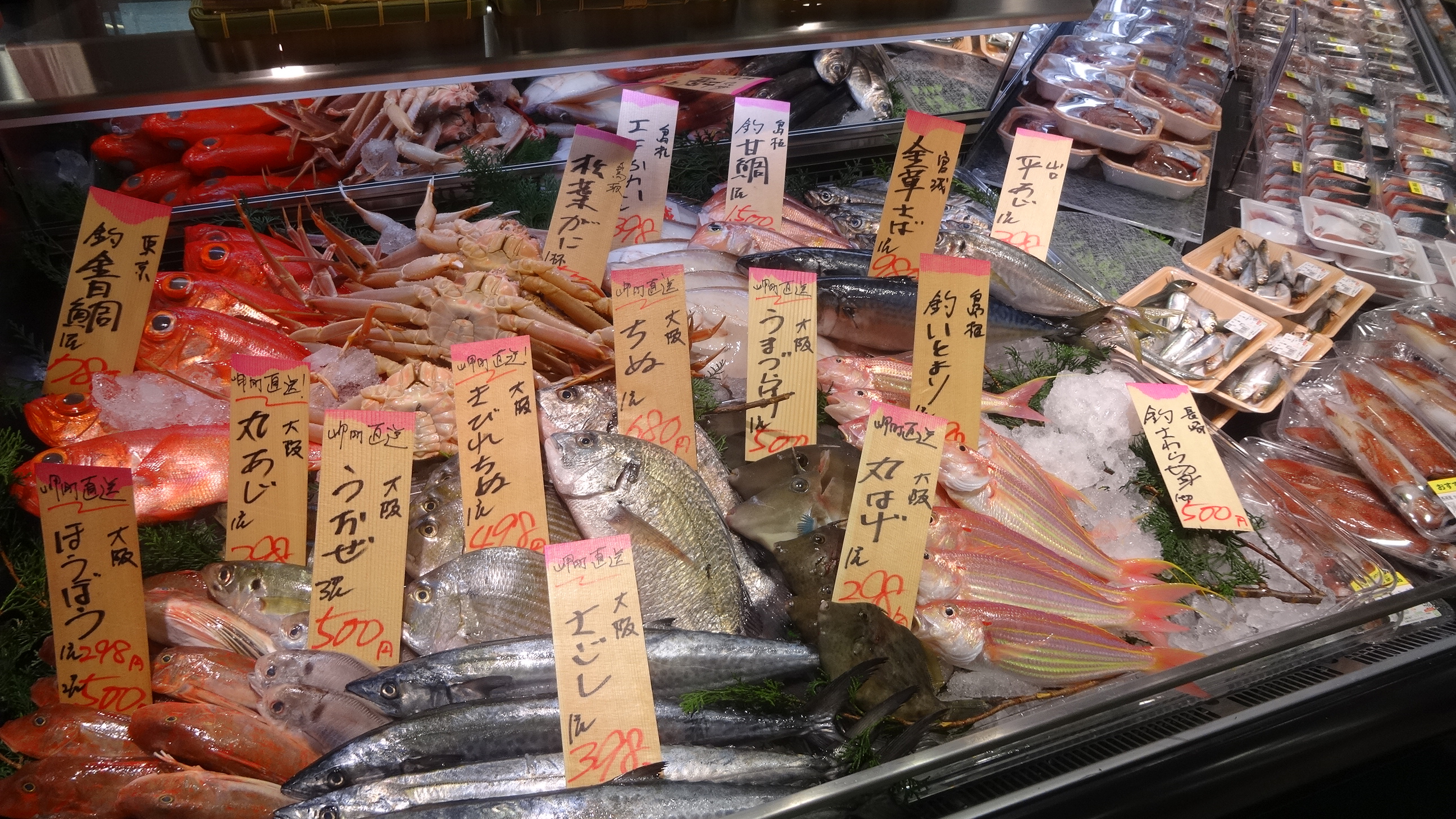 https://www.db.kansai-maas.jp/image/photos/999df409-b025-4e5b-8559-a81137722c96.jpg