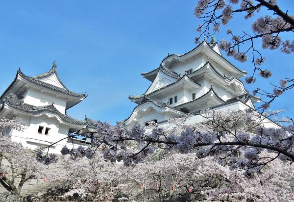 https://www.db.kansai-maas.jp/image/photos/9a560e77-1add-4b4d-aeee-efc26cc9a219.jpg