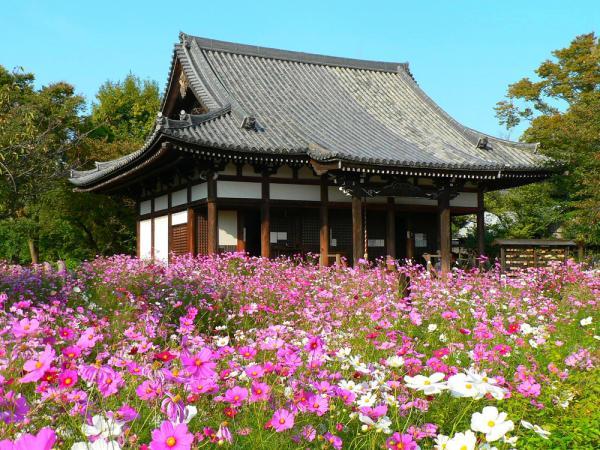 https://www.db.kansai-maas.jp/image/photos/9add5129-ca9a-4a0b-ab34-e399c7b3ba1e.jpg