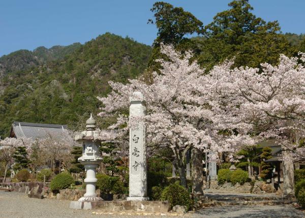 https://www.db.kansai-maas.jp/image/photos/9b8bf20b-1907-4b4d-828a-923853af3762.jpg